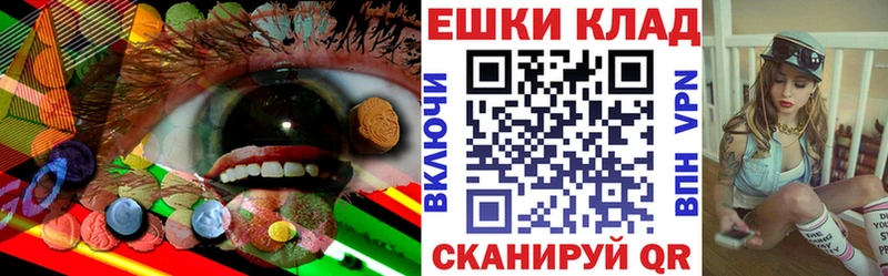 закладки  Бокситогорск  Ecstasy бентли 